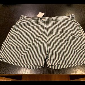Men’s Solid & Striped Swim Trunks